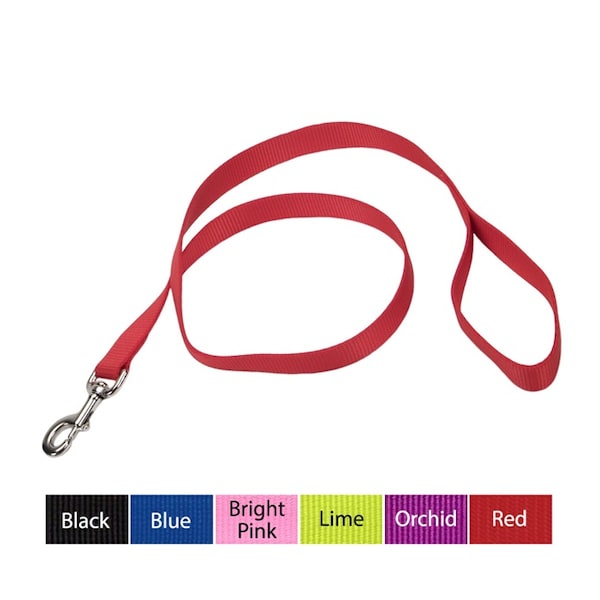 Coastal Single-Ply Nylon Dog Leash 1 in BRIGHT PNK